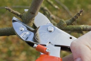 Sekator Lowe 1.104 kowadełkowy 8