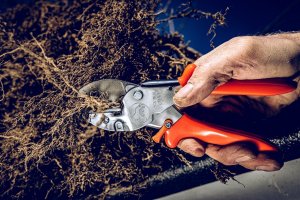 Sekator Lowe 1.107 kowadełkowy 4