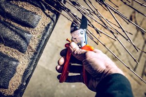 Sekator Lowe 1.107 kowadełkowy 8