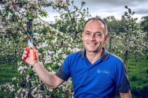 Sekator Lowe 5.107 kowadełkowy 9