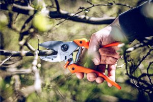 Sekator Lowe 6.107 kowadełkowy 4