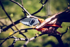 Sekator Lowe 6.107 kowadełkowy 8