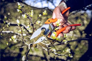 Sekator Lowe 6.107 kowadełkowy 10