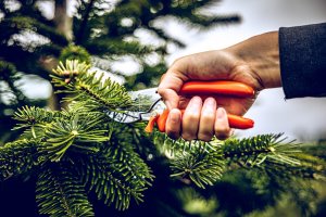 Sekator Lowe 5.127 kowadełkowy 11