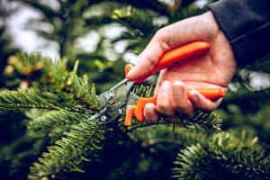 Sekator Lowe 5.127 kowadełkowy 7