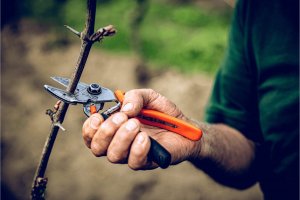 Sekator Lowe 6.109 kowadełkowy 4