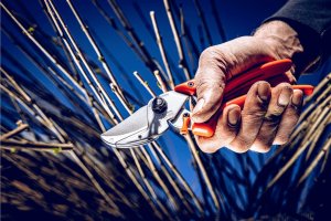 Sekator Lowe 8.107 kowadełkowy 12