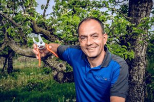 Sekator Lowe 8.107 kowadełkowy 9