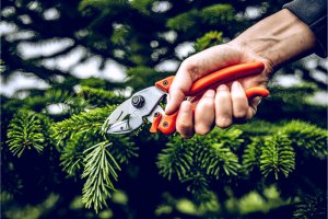 Sekator Lowe 6.104 kowadełkowy 4