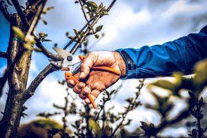 Sekator Lowe 6.104 kowadełkowy 5