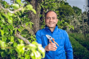 Sekator Lowe 6.104 kowadełkowy 7