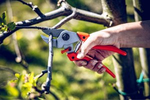 Sekator Lowe 7.104 kowadełkowy 7