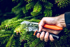 Sekator Lowe 1.109 kowadełkowy 4