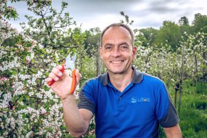 Sekator Lowe 5.104 kowadełkowy 5