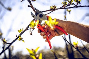 Sekator Lowe 7.107 kowadełkowy 4