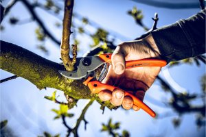 Sekator Lowe 7.107 kowadełkowy 5