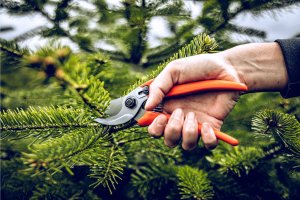 Sekator Lowe 14.104 kowadełkowy 11