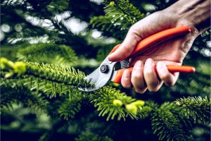 Sekator Lowe 14.104 kowadełkowy 7