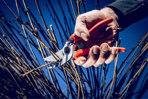 Sekator Lowe 14.104 kowadełkowy 8