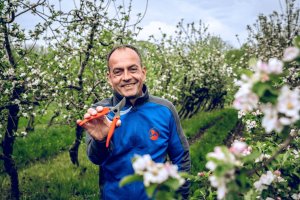 Sekator Lowe 14.104 kowadełkowy 9