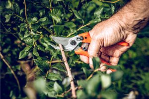 Sekator Lowe 14.107 kowadełkowy 6