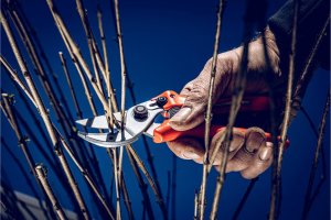 Sekator Lowe 15.104 kowadełkowy 3