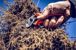 Sekator Lowe 15.107 kowadełkowy 6