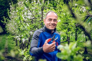 Sekator Lowe 15.107 kowadełkowy 7