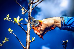 Sekator Lowe 8.104 kowadełkowy 4