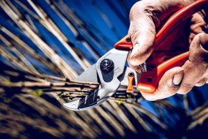 Sekator Lowe 8.104 kowadełkowy 6