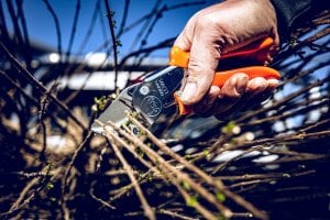 Sekator Lowe 10.107 kowadełkowy 5