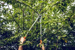 Sekator Lowe Nożyce kowadełkowe Lowe 20.080 sekator dwuręczny 80cm 6