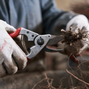 Sekator Felco 14 nożycowy 13