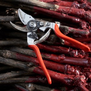 Sekator Felco 14 nożycowy 16