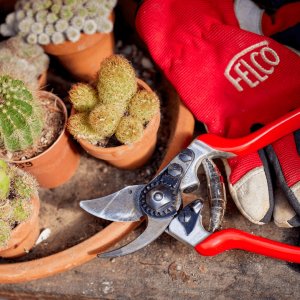 Sekator Felco 14 nożycowy 6