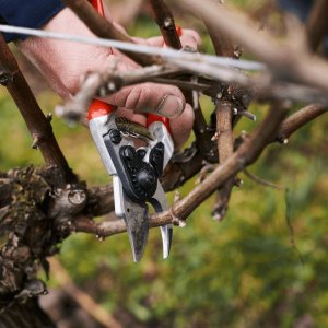 Sekator Felco 14 nożycowy 8