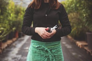 Sekator Felco 322 do zawiązków 3