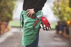 Sekator Felco 322 do zawiązków 4