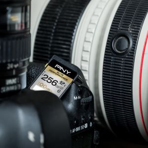 Karta PNY Elite Performance SDXC 256 GB Class 10 UHS-I/U3  (SD256ELIPER-EF) 2