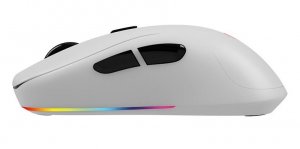 Mysz Savio Rift  (SAVGM-RIFTWHITE) 3