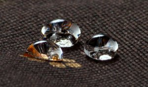 EcoHomeGarden Legowisko materac dla psa brązowy złote kości i łapki M 70x50 wigofil 9