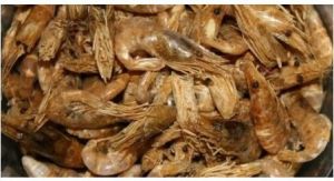 Katrinex KREWETKA SUSZONA 1400ML 2