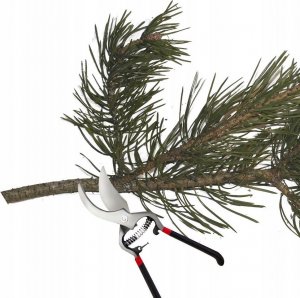 Sekator SEKATOR OGRODOWY RĘCZNY NOŻYCE DO KRZEWÓW GAŁĘZI 20,5CM 2