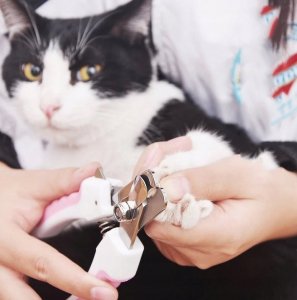 OBCINACZKI DO PAZURÓW PSA KOTA PAZURY CĄŻKI + PILNIK 5