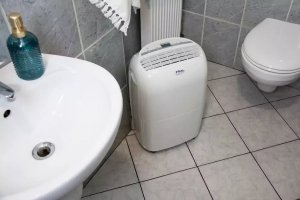 Fral Osuszacz powietrza Fral Dry Digit 21 LCD 9