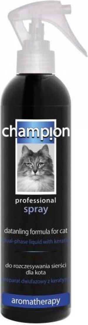 Champion SPRAY DO ROZCZESYWANIA 250ml 1