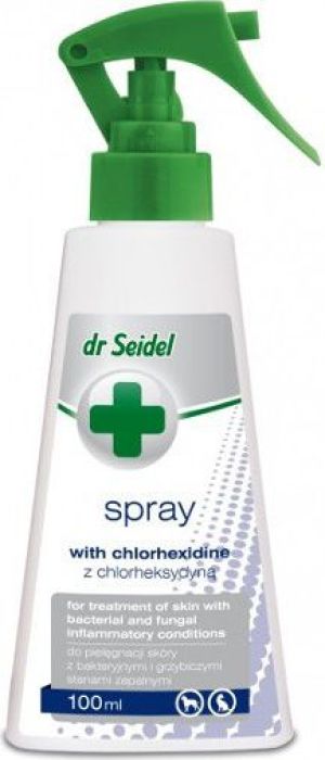 Dr Seidel Spray Z Chlorheksydyną 100ml 1
