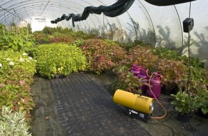 Master Nagrzewnica gazowa Master BLP 11M + zestaw do sprzęgania butli 10