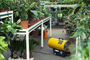 Master Nagrzewnica gazowa Master BLP 16M + zestaw do sprzęgania butli 5