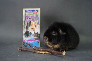 Dako-Art 90g GRYZAKI 2